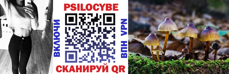 как найти наркотики omg ссылки Псилоцибиновые грибы мицелий Карабулак