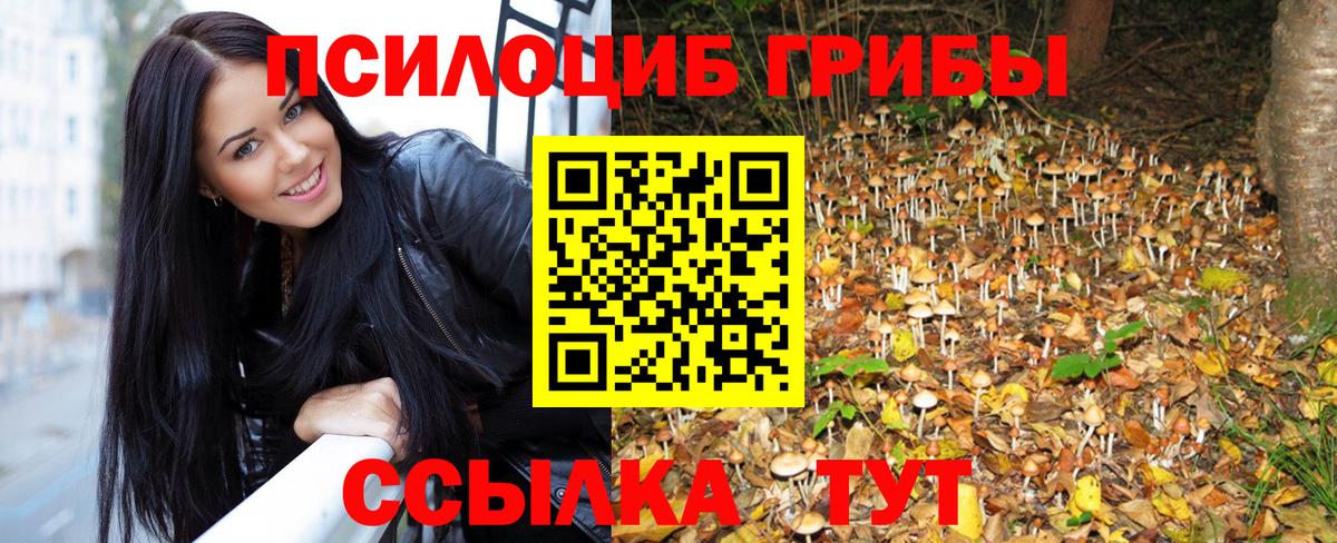Псилоцибиновые грибы Magic Shrooms  Вход с VPN  Карабулак  Псилоцибиновые грибы мухоморы 