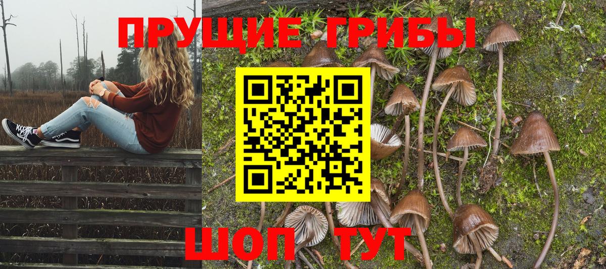 Псилоцибиновые грибы мухоморы  где купить наркотик  Карабулак 