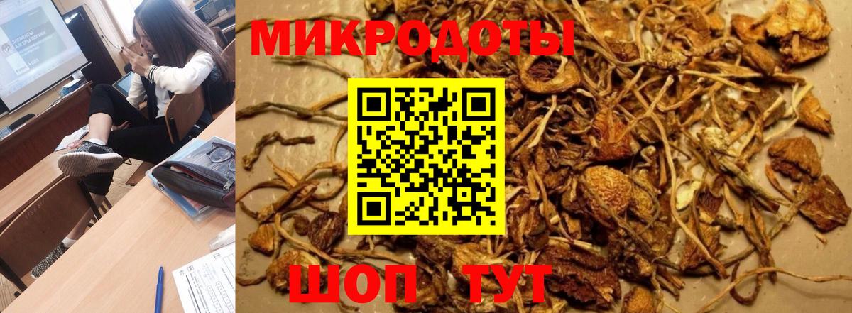 Галлюциногенные грибы Magic Shrooms Карабулак